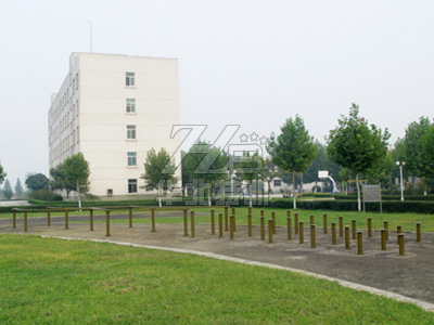 �����ߣ�÷�����������ۘ�